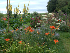 Garten des Lebens garten-juli2014