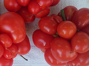 Reisetomate art_rar_reisetomate