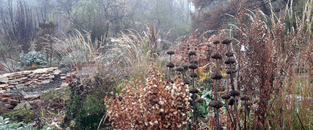 Naturgarten im ökologischen Bildungszentrum in München